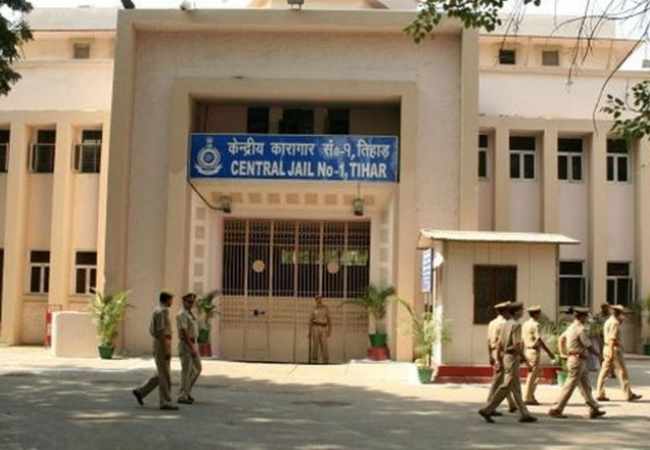 Not an inmate, but a puppy: Midnight rescue operation outside Tihar jail meets tragic end